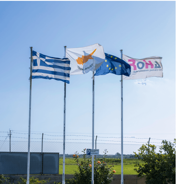 Flags